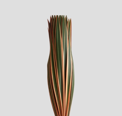 Phornio Italia 100cm Tintado Rojo (7 Dias - 2�)