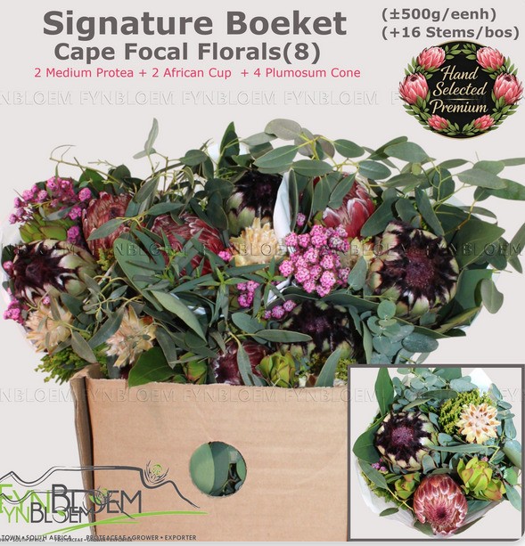 Safari Buquet 2 proteas Mix 50cm 500gr