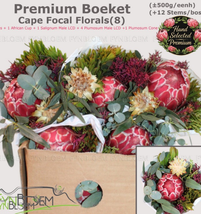Safari buquet mixto 50cm 500gr (7 Dias - 2�)