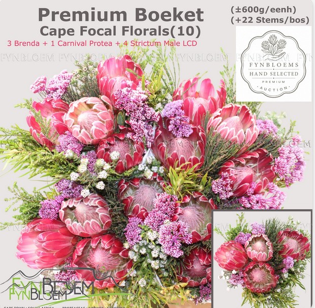 Safari Buquet 50cm 600gr 4-Protea