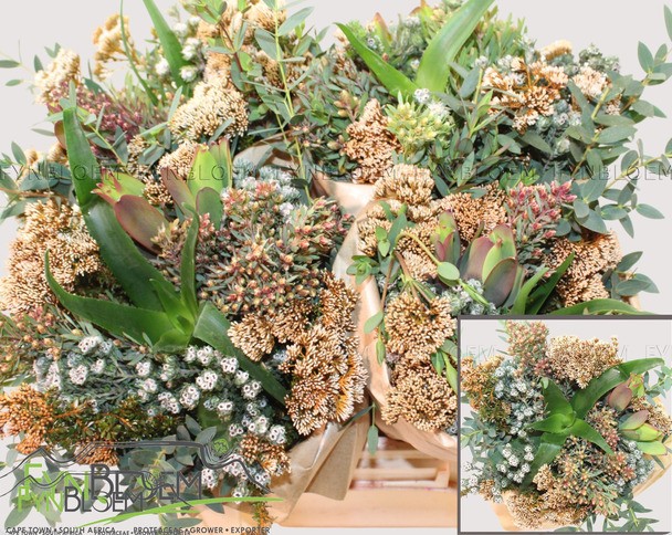 Safari buquet mixto 40cm 450gr