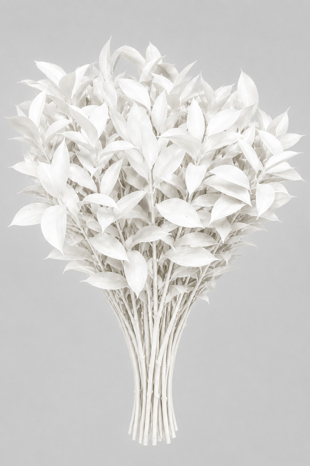 Ruscus Pintado Blanco 80cm "T50"