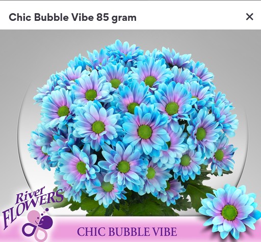 Margarita Hol. Chic Bubble Vibe 85gr Az.