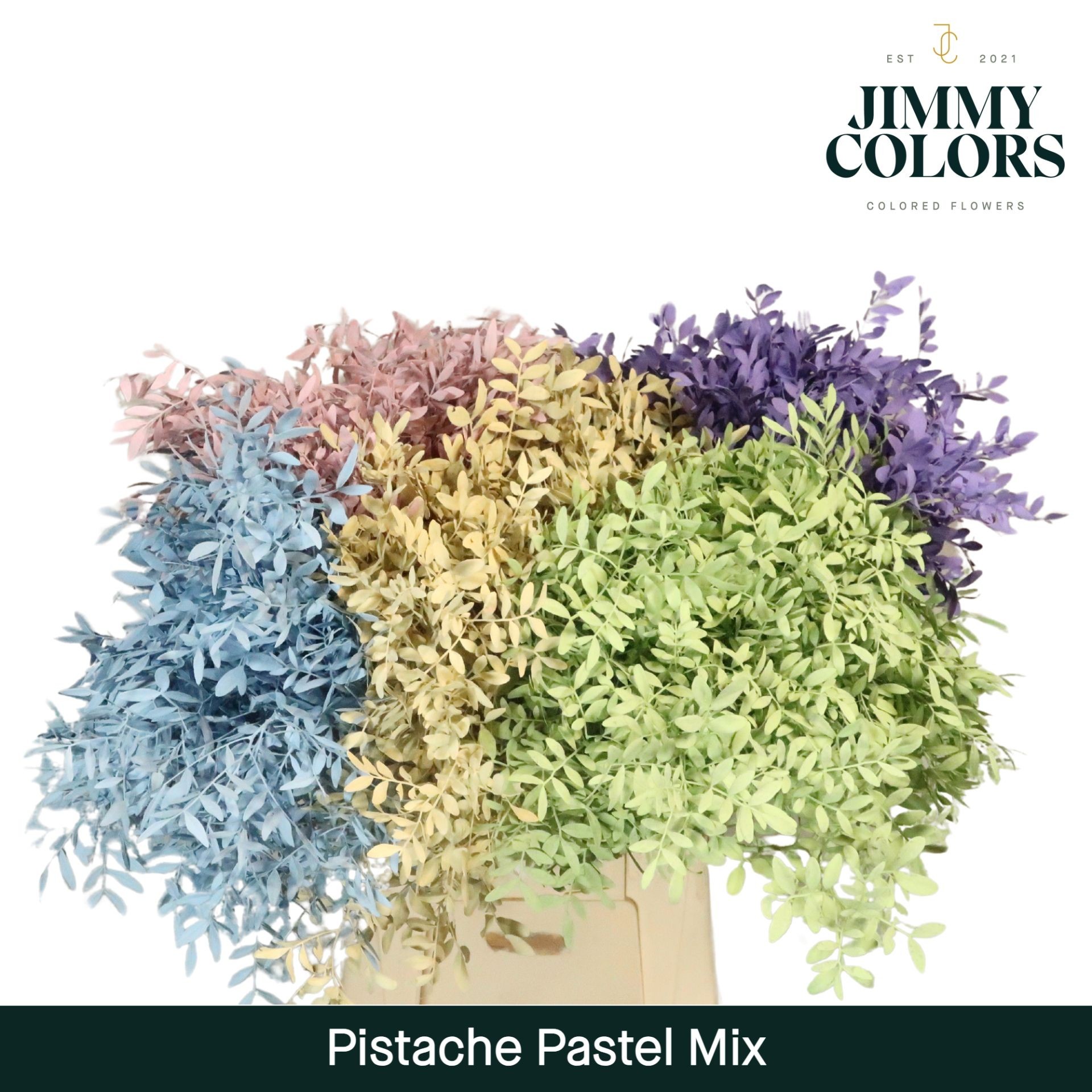 Mata Lentisco Pintado Pastel Mix 40cm "T50"