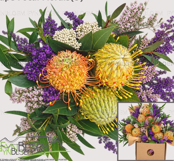 Safari Buquet 40cm 400gr (3-nutans)