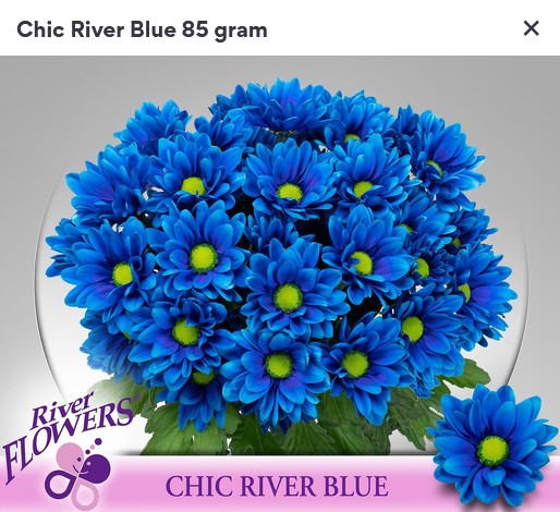 Margarita Hol. Chic River Blue 85gr Az. (7 Dias - 2�)