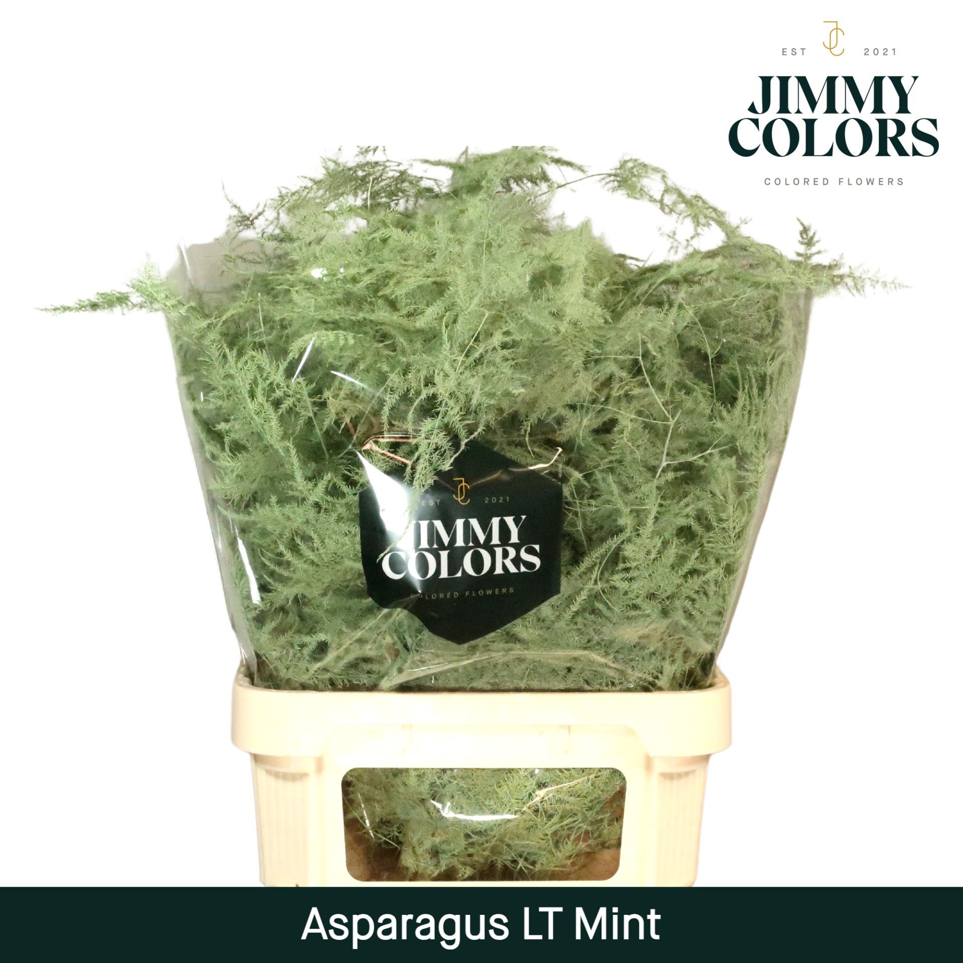 Esparraguera Pintada Green Mint 80cm "T50"