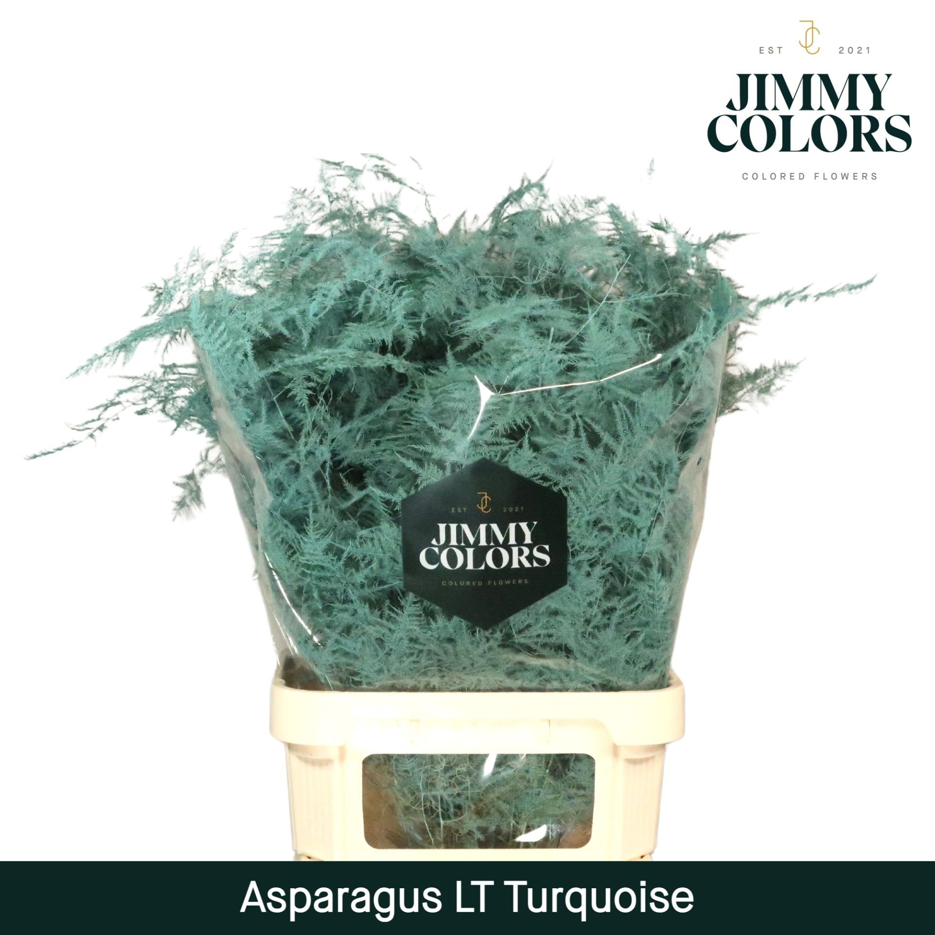 Esparraguera Pintada Turquesa 80cm "T50"