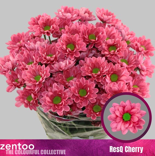 Margarita Hol. Resq Cherry 85gr