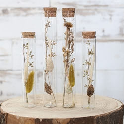 Dry Decoration