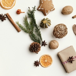 Decorative Fruits