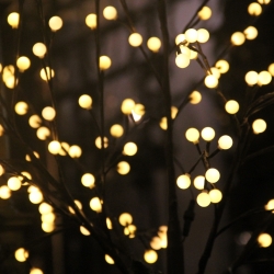 Lights