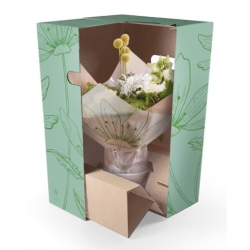 Shipping Box