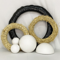 Spheres and Rings