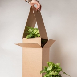 Shipping Box