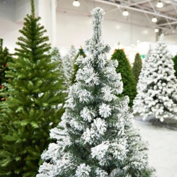 Trees