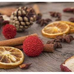 Decorative Fruits