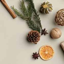 Decorative Fruits
