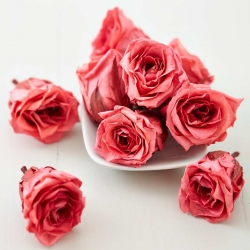 Preserved Roses