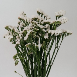 Floral Greens