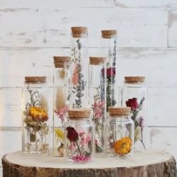 Dry Decoration