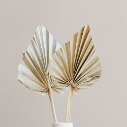 Palm and Leaves