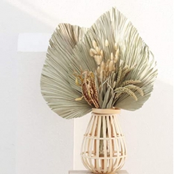 Palm and Leaves