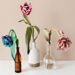 Containers and Vases