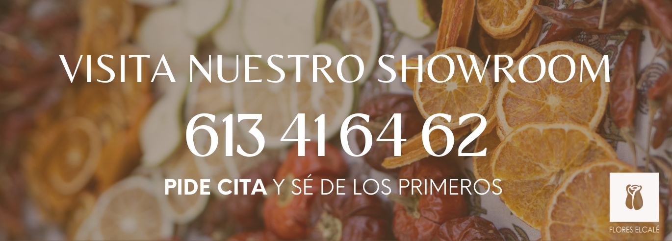 SHOWROOM