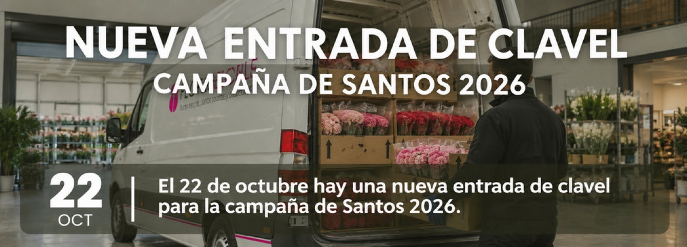 Nueva entrada clavel