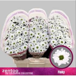 Santini Floky 1000gr "T25" Bl.