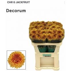 Uniflor Hol.  Jackfruit 90gr