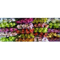 Cymb Mini Mixta 50cm