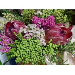 Safari Buquet 2 Proteas