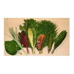 Hojas Tropicales Bolsa