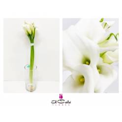 Calla Crystal Blush 40cm