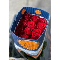 Rosa Ecu. Freedom 80cm "SPR"
