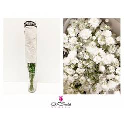 Paniculata Ecu. Mirabella 750gr "T25"