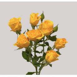 Ramificada Marisa 60cm