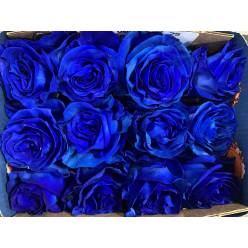 Rosa  Ecu. Tintada Azul 60cm