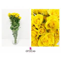 Ramificada Mariah 50cm Am