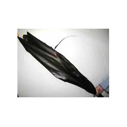 Cordeline Negro 80cm