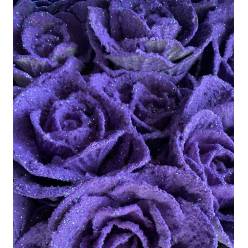 Brassica Nac. Nieve Lila + Purp.