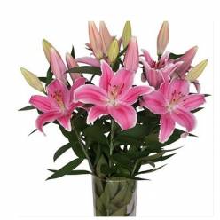 Oriental Hol. Rs. Marlon 80cm 2 flores