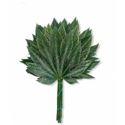 Aralia 40cm Mediana Cocodrilo "T50"