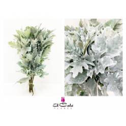 Roble Hol. Rubra Blanco 80cm x20 Pintado