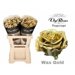 Rosa Hol. Cera Oro 60cm "Vip R."