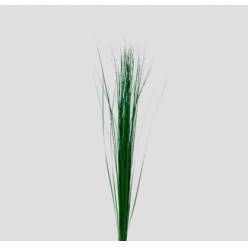 Steelgrass 90cm