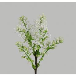 Lilas Madame Stepman Blanca 60cm 2bl