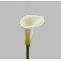 Calla Ivory Art 50cm
